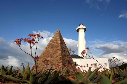 Port Elizabeth: City Tour and Wildlife Safari 4x4 Adventure