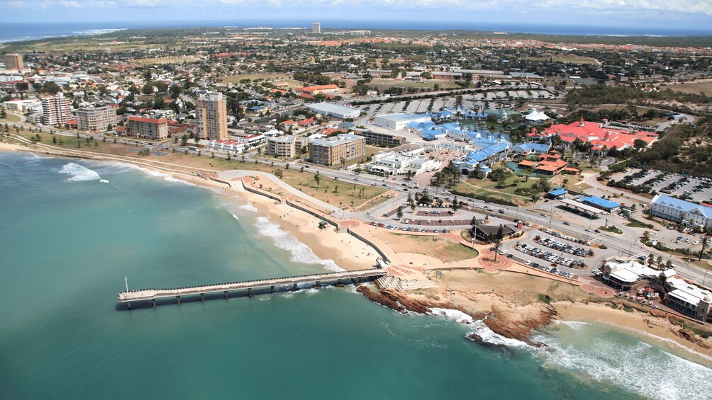 Picture 8 for Activity Port Elizabeth: Wildlife Safari and City Sightseeing Tour