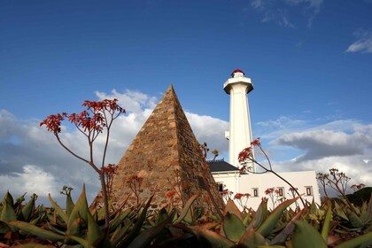 Port Elizabeth: City Tour and Wildlife Safari 4x4 Adventure