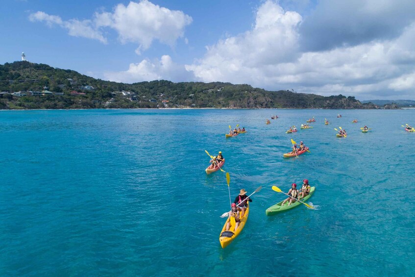 Byron Bay Dolphin Kayaking Tour