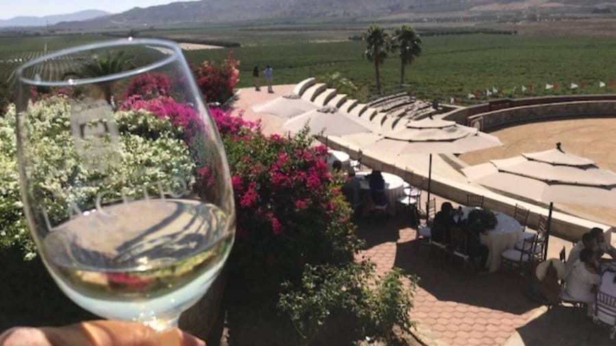 From Tijuana: Valle de Guadalupe Private Winery Tour