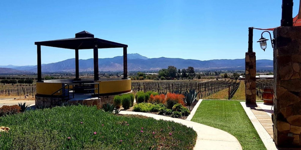 Picture 1 for Activity From Tijuana: Valle de Guadalupe Private Winery Tour
