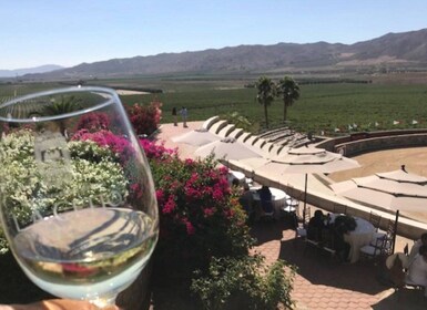 Desde Tijuana: recorrido privado por la bodega Valle de Guadalupe