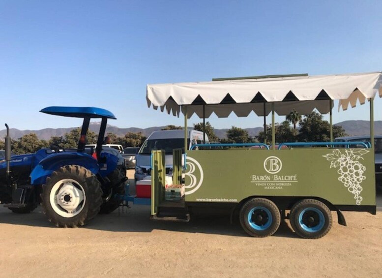 Picture 2 for Activity From Tijuana: Valle de Guadalupe Private Winery Tour