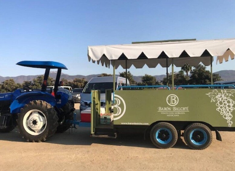 Picture 2 for Activity From Tijuana: Valle de Guadalupe Private Winery Tour