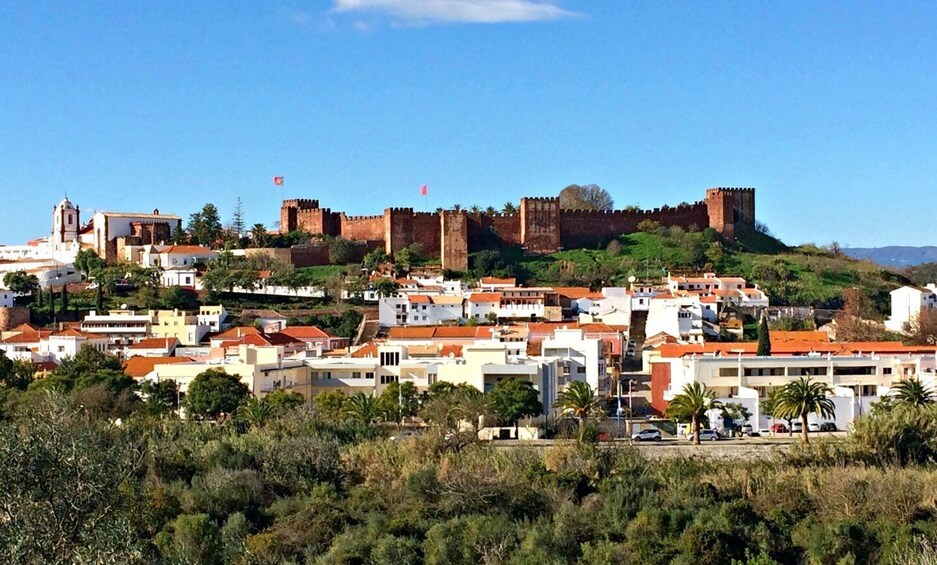 Picture 3 for Activity Silves, Caldas and Monchique Wine Tasting: Full Day Tour