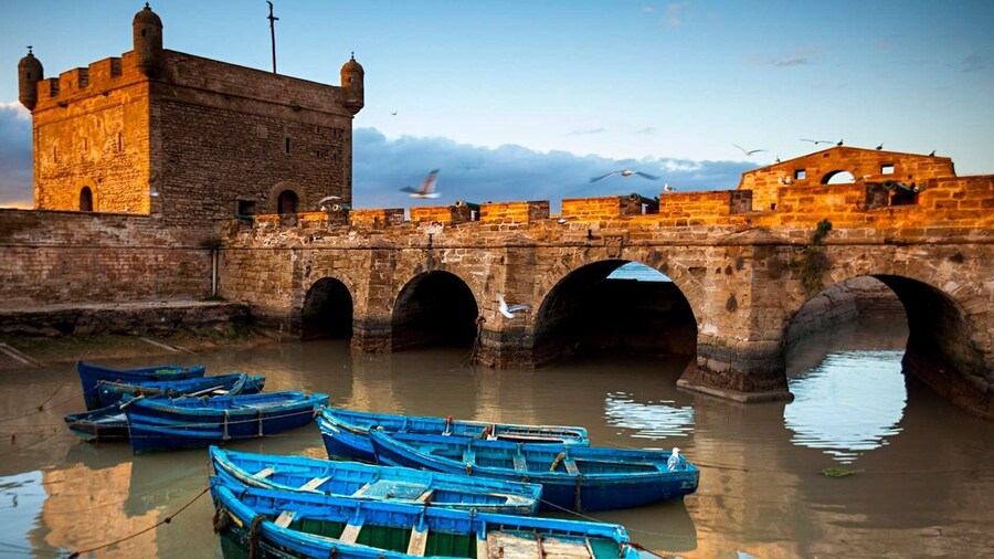 From Marrakech: Essaouira & Atlantic Coast Full-Day Trip