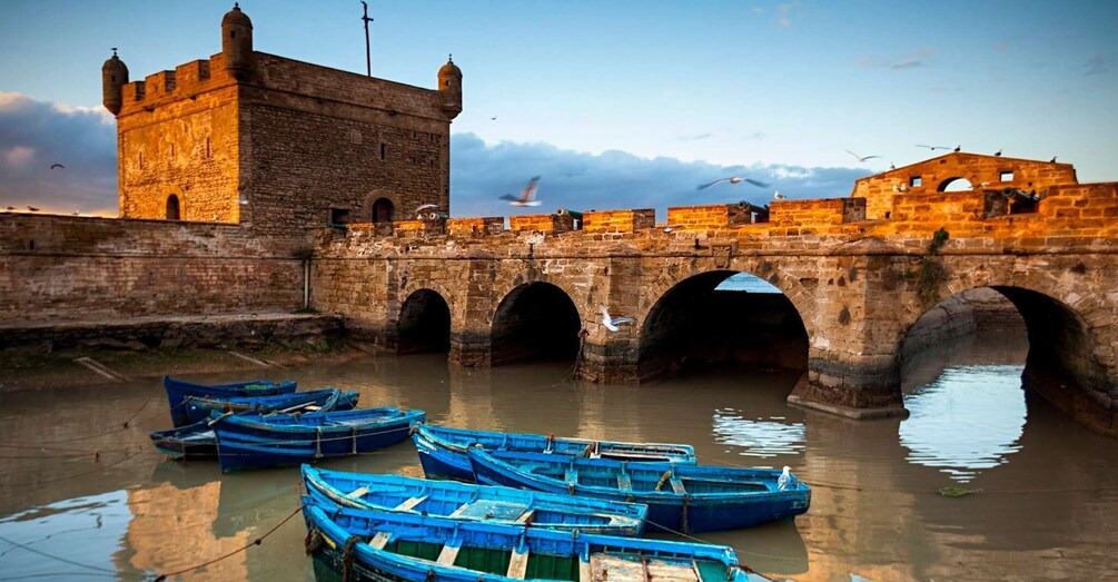 From Marrakech: Essaouira & Atlantic Coast Full-Day Trip