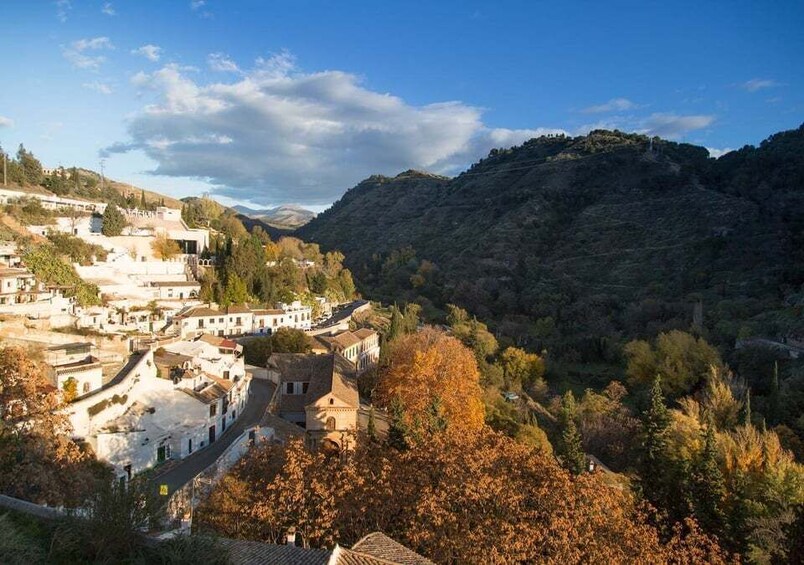 Picture 10 for Activity Granada: Exclusive Flamenco Private Tour