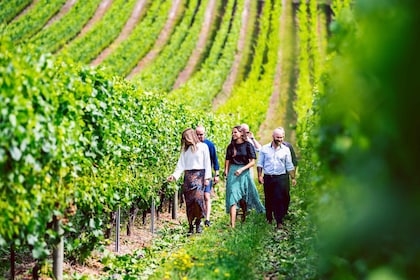 Depuis Hobart : Excursion d'une journée à la découverte du vin, du cidre, d...