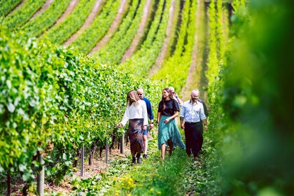 Von Hobart aus: Ganztägige Wein-, Apfelwein-, Bier- und Whiskeytour