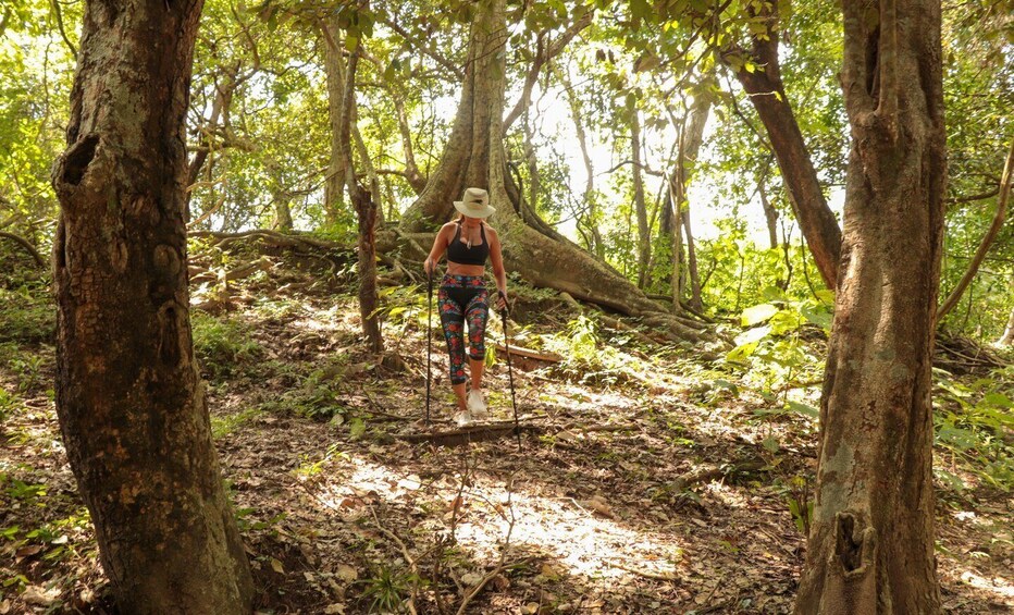 Picture 8 for Activity From Puerto Vallarta: 2-Hour Guided Sierra Vallejo Hike