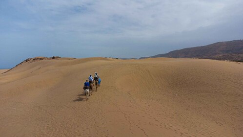 Agadir o Taghazout: paseo en camello por las dunas de arena del desierto