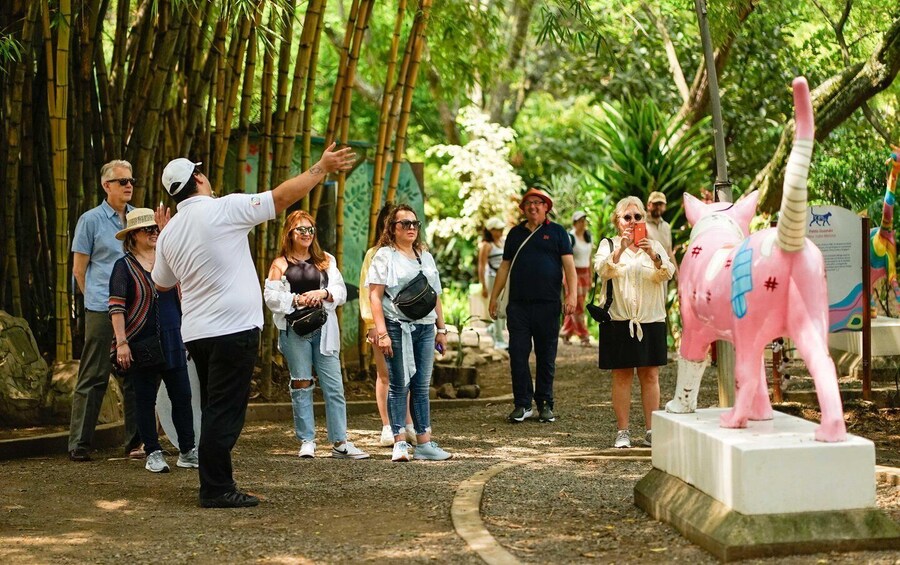 Picture 5 for Activity Cali: Walking tour of the historic center