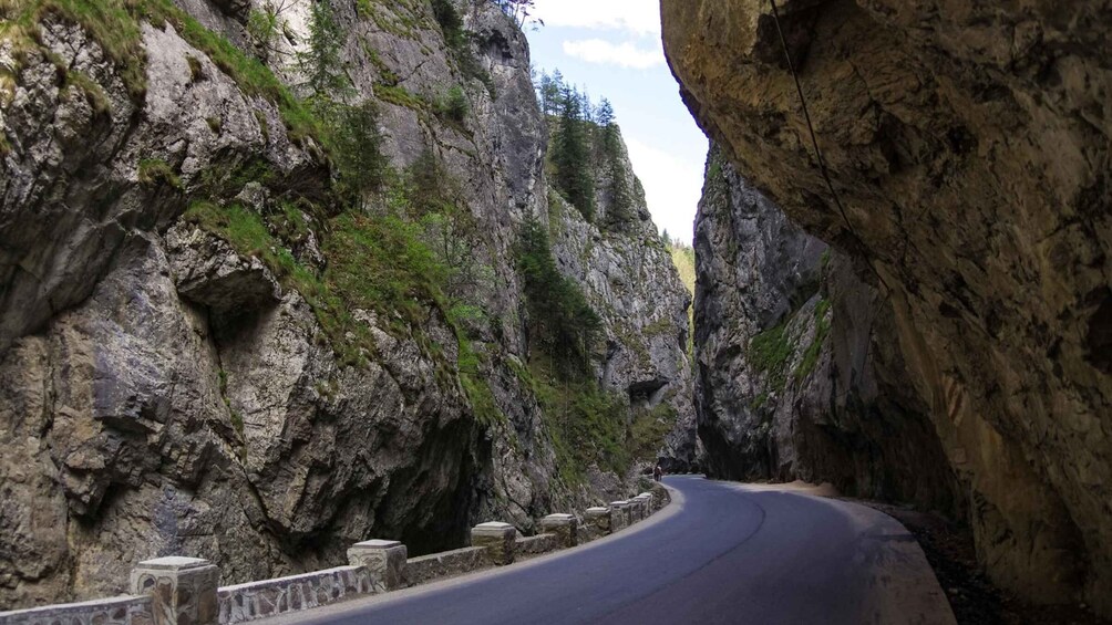 Picture 3 for Activity Adventure trip from Iasi: Hiking in the Carpathian Mountains