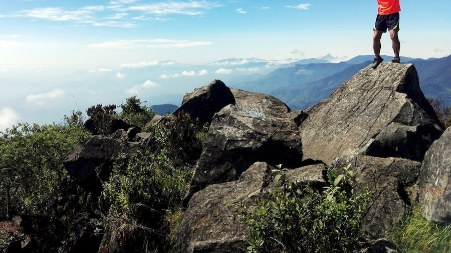 Cali: Pico de Loro Trekking Adventure - Farallones de Cali