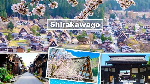 Nagoya: Hida Takayama & Weltkulturerbe Shirakawa-go Tagestour