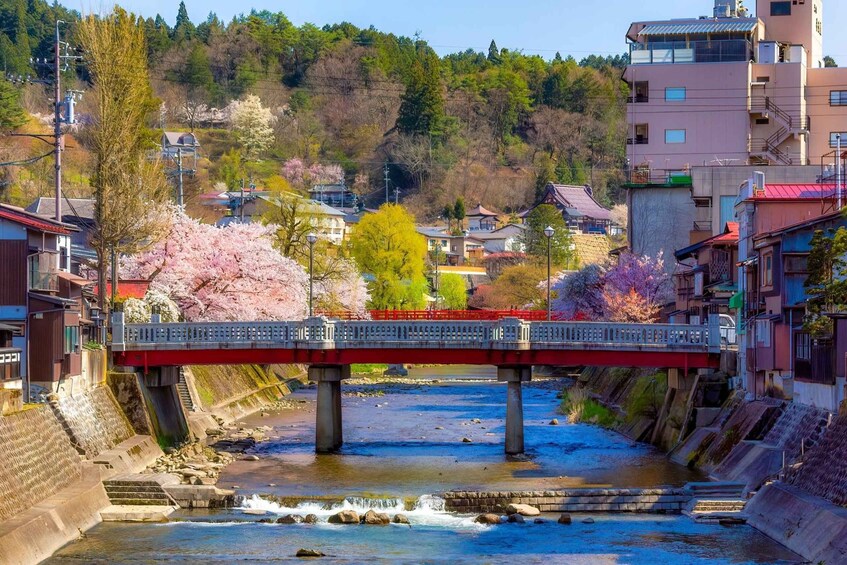 Picture 12 for Activity Nagoya: Hida Takayama & World Heritage Shirakawa-go Day Tour