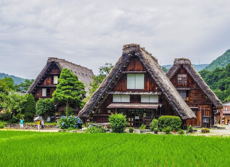 Picture 1 for Activity Nagoya: Hida Takayama & World Heritage Shirakawa-go Day Tour