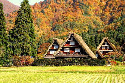 Nagoya: Hida Takayama & World Heritage Shirakawa-go Day Tour