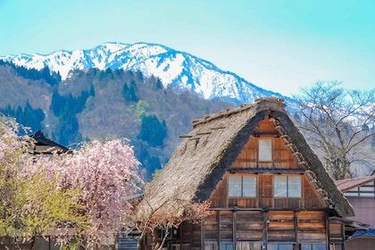 名古屋：飛驒高山與世界遺產白川鄉日遊覽