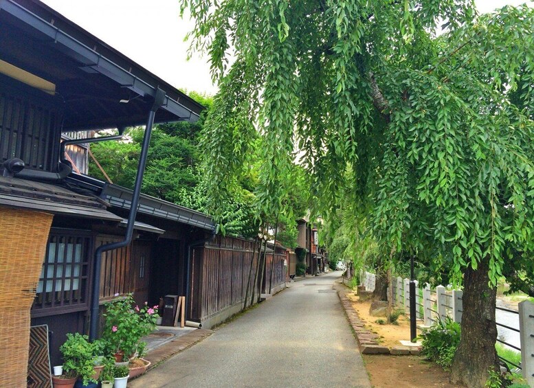 Picture 22 for Activity Nagoya: Hida Takayama & World Heritage Shirakawa-go Day Tour