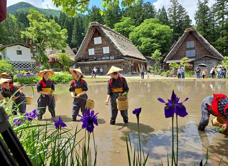 Picture 1 for Activity Nagoya: Hida Takayama & Shirakawa-go 1-Day Bus Tour w/ Meal
