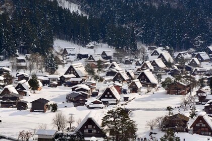 Nagoya: Hida Takayama & World Heritage Shirakawa-go Day Tour