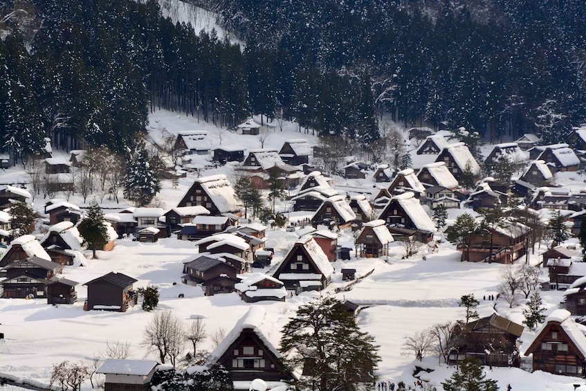 Picture 1 for Activity Nagoya: Hida Takayama & World Heritage Shirakawa-go Day Tour