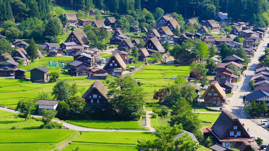 Picture 14 for Activity Nagoya: Hida Takayama & World Heritage Shirakawa-go Day Tour