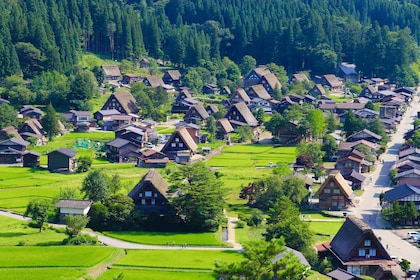 Nagoya: Hida Takayama & World Heritage Shirakawa-go Day Tour