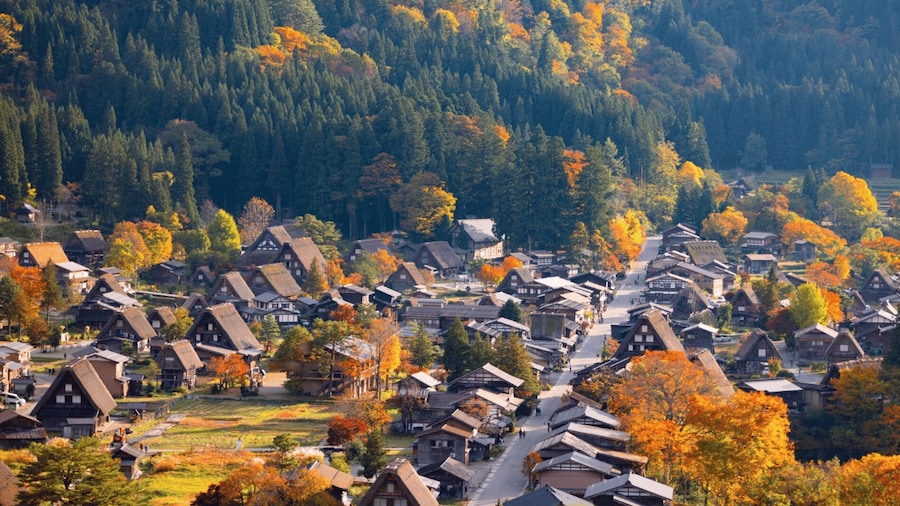 Picture 13 for Activity Nagoya: Hida Takayama & Shirakawa-go Tour w/Optional Lunch