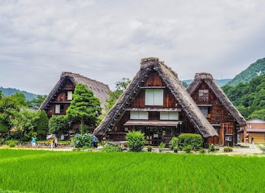 Nagoya: Hida Takayama & World Heritage Shirakawa-go Day Tour