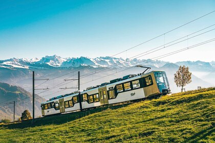 Mount Rigi: Day Pass