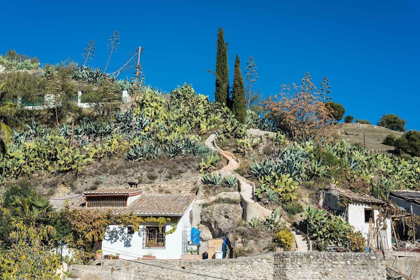 Picture 2 for Activity Sacromonte Caves Museum Admission Ticket