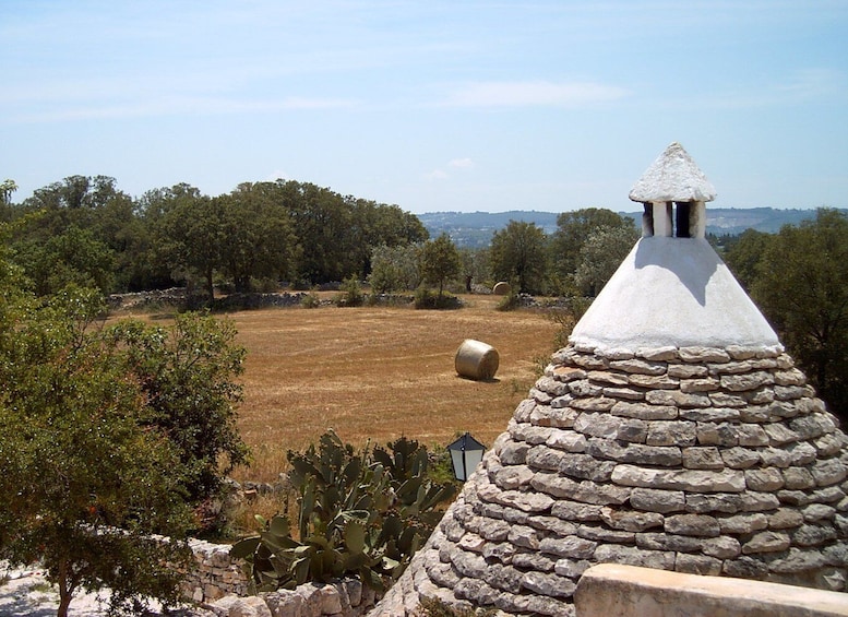 Picture 1 for Activity Cisternino: 2-Hour Authentic Italian Village Tour