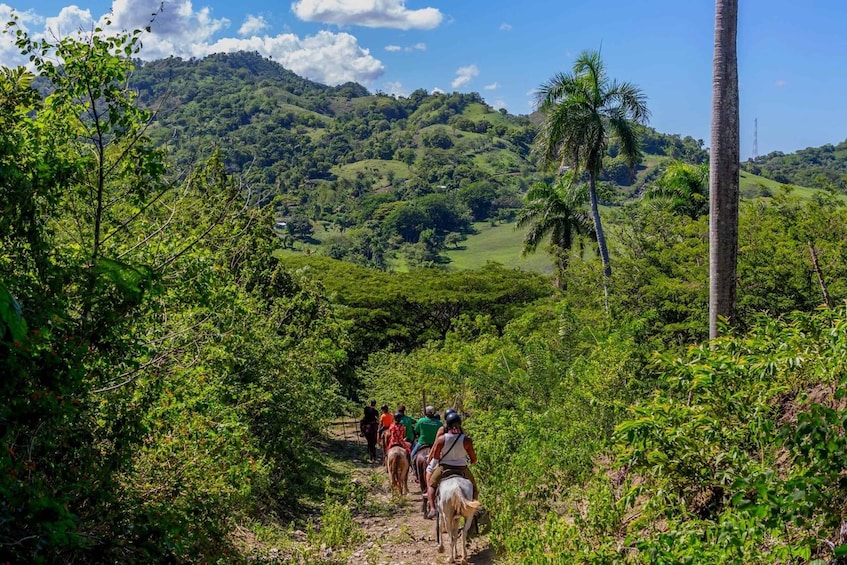 Picture 5 for Activity Puerto Plata: Waterfalls, Zip Line Adventure and Horse Ride