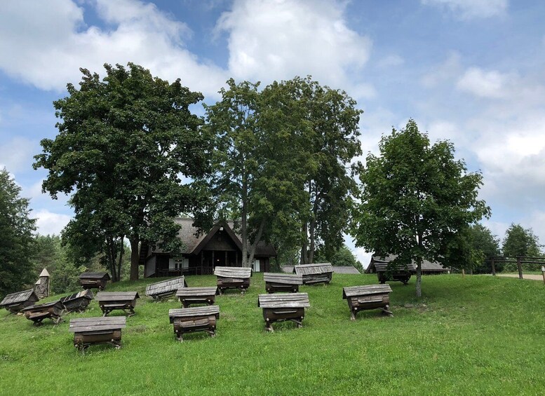 Picture 10 for Activity Vilnius to Aukstaitija National Park: Full-Day Tour