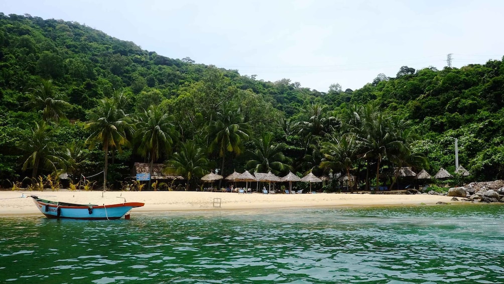 Picture 5 for Activity Snorkeling Cham Island: Snorkeling Tour by Speed Boat