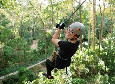 Tamborine Mountain: desafío en la cima de un árbol en Adventure Park