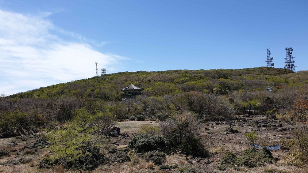 Picture 6 for Activity Jeju: Mt. Hallasan Hike and UNESCO Sites Day Tour