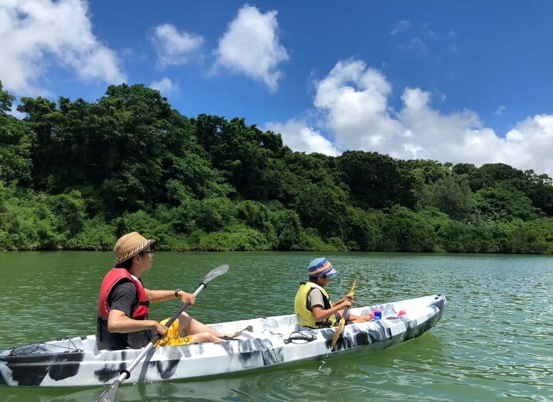 Picture 2 for Activity Okinawa: Mangrove Kayaking Tour