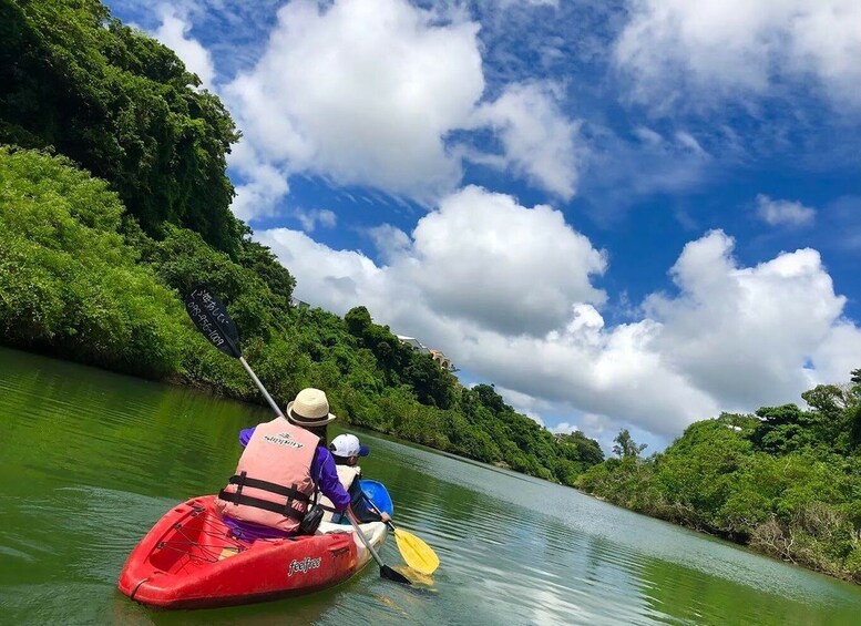 Picture 3 for Activity Okinawa: Mangrove Kayaking Tour