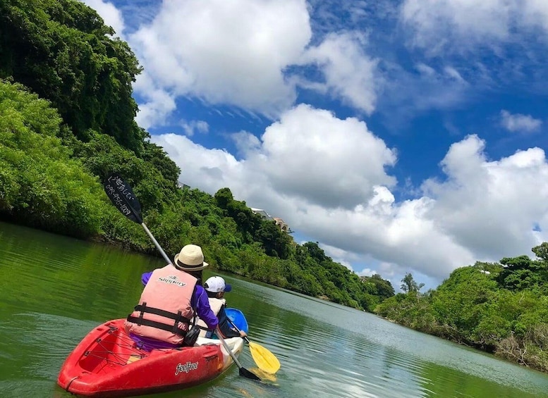Picture 3 for Activity Okinawa: Mangrove Kayaking Tour