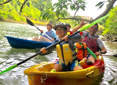 Okinawa: Mangrove Kayaking Tour