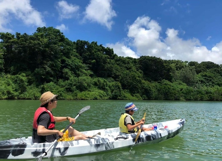 Picture 2 for Activity Okinawa: Mangrove Kayaking Tour
