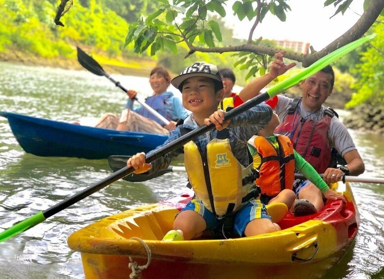 Okinawa: Mangrove Kayaking Tour