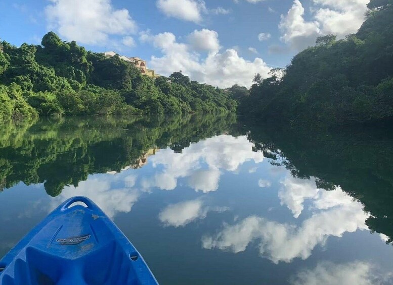 Picture 1 for Activity Okinawa: Mangrove Kayaking Tour