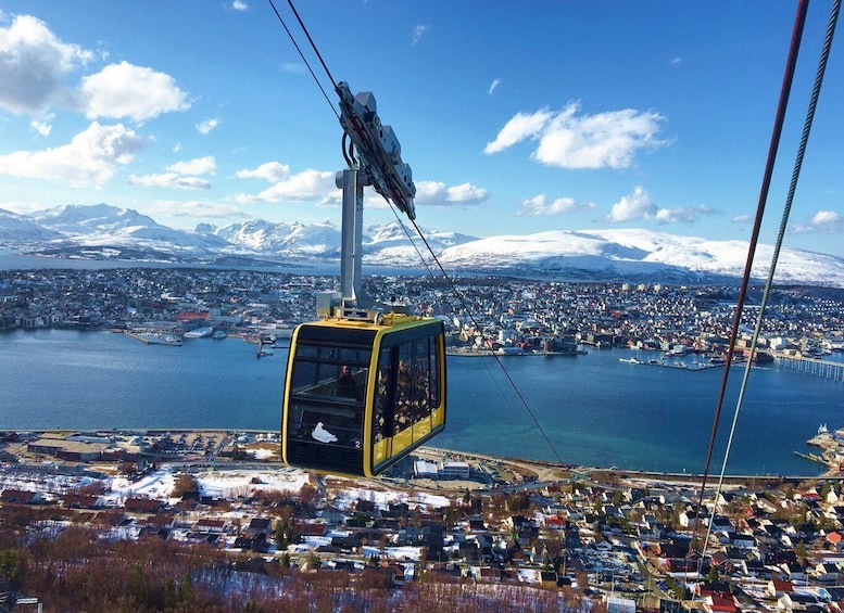 Picture 1 for Activity Tromso: Northern Lights Cable Car Excursion