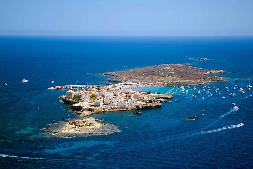 From Santa Pola: Snorkel Trip in Tabarca Island
